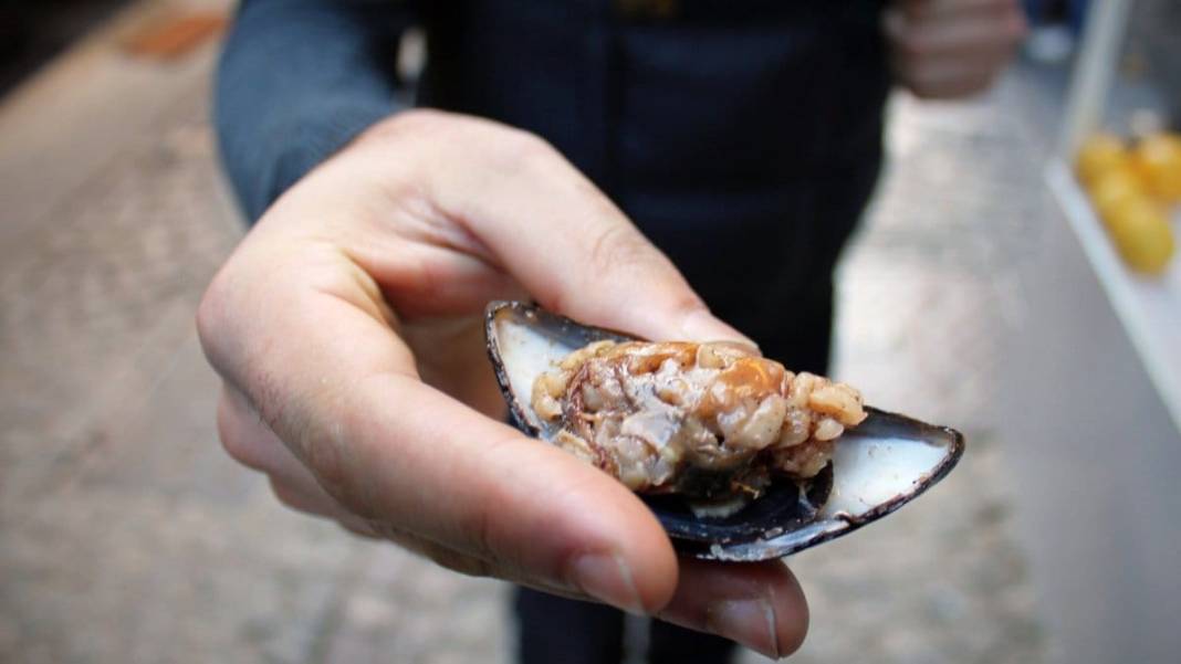 Sokakta tüketilmesi riskli 10 gıda: Uzmanı açıkladı 5